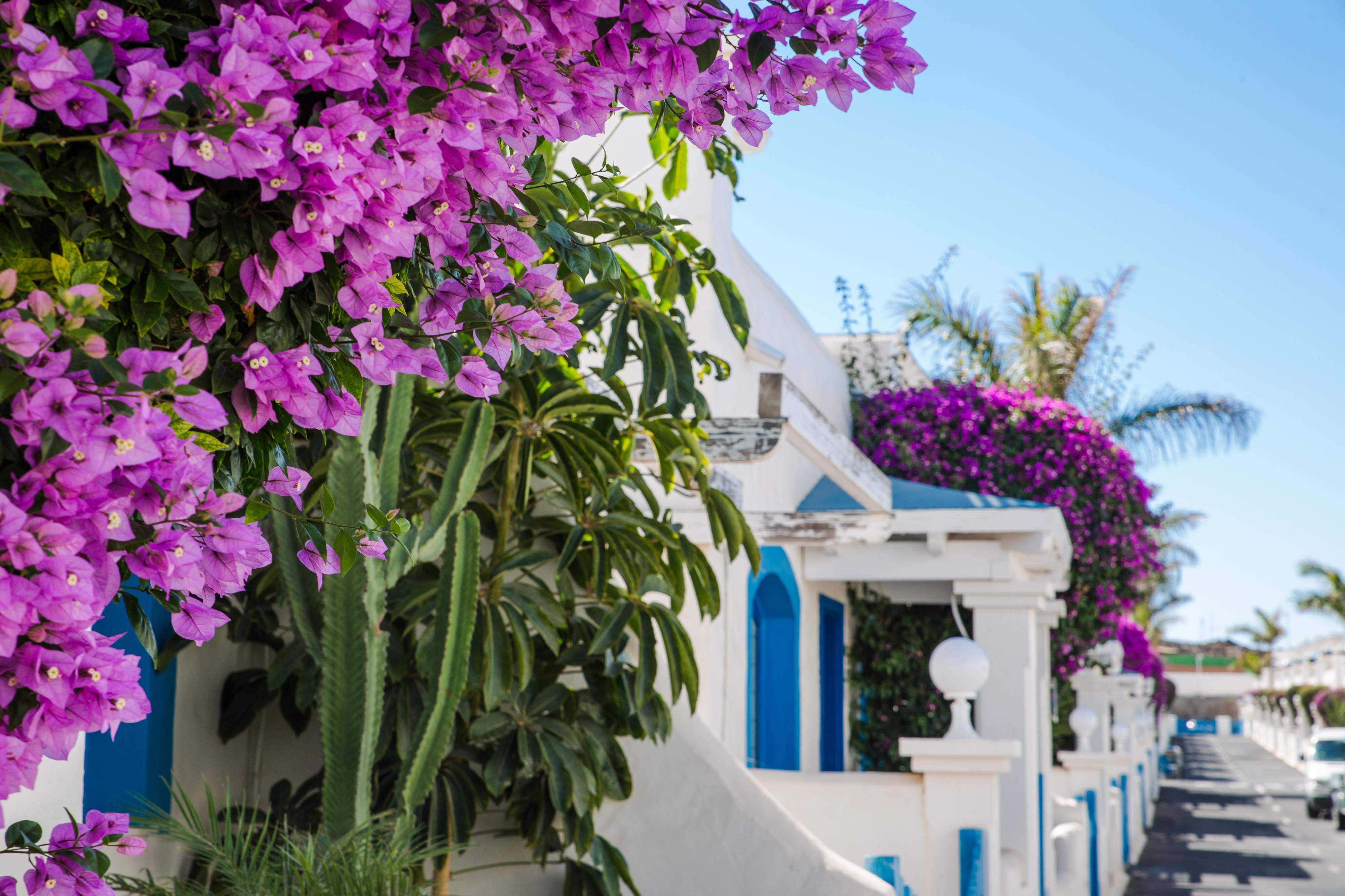 Bahiazul Resort Fuerteventura Κοραλέχο Εξωτερικό φωτογραφία